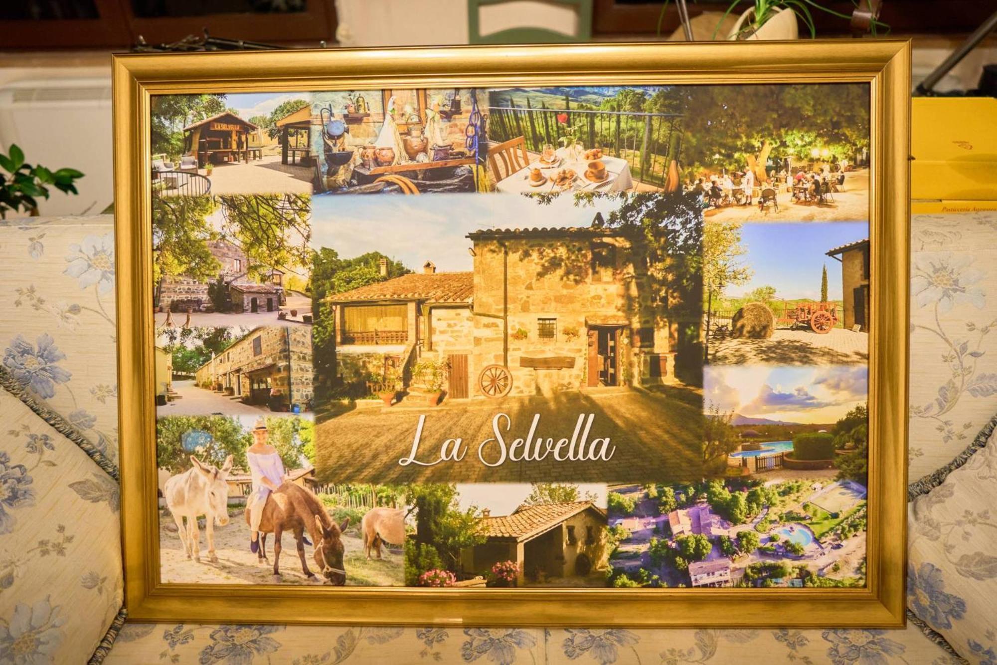 Agriturismo Selvella Радикофани Экстерьер фото