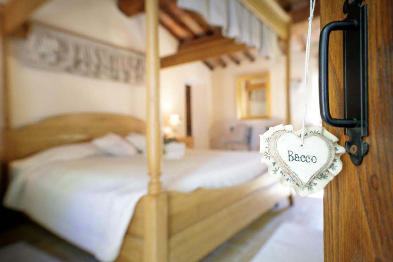 Agriturismo Selvella Радикофани Экстерьер фото